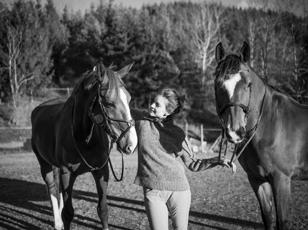 Sidan är under uppbyggnad